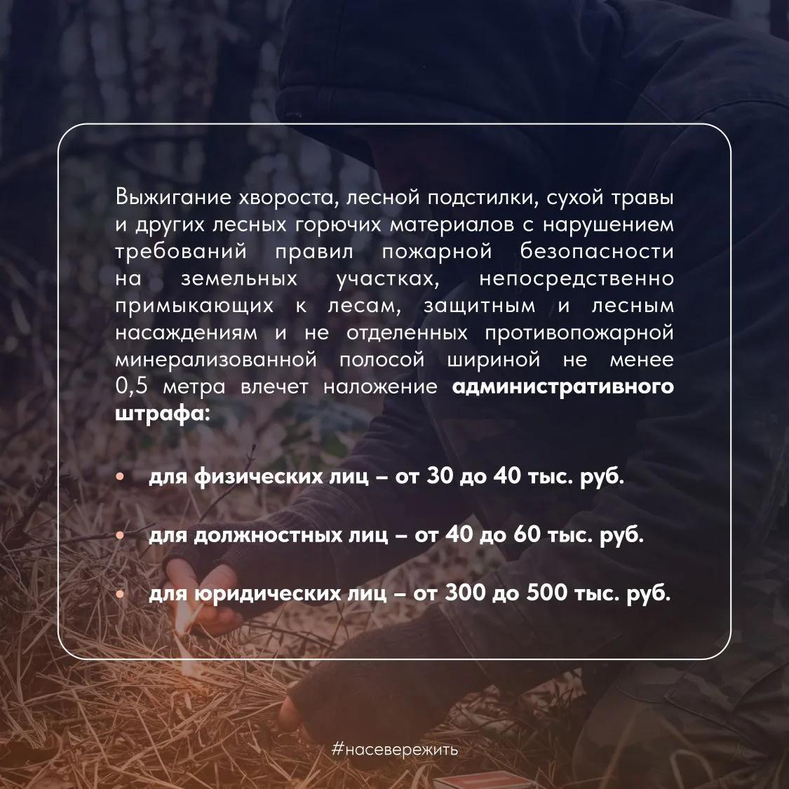 Сегодня, 15 мая, в Мурманской области введен пожароопасный режим Сегодня, 15 мая, в Мурманской области введен пожароопасный режим