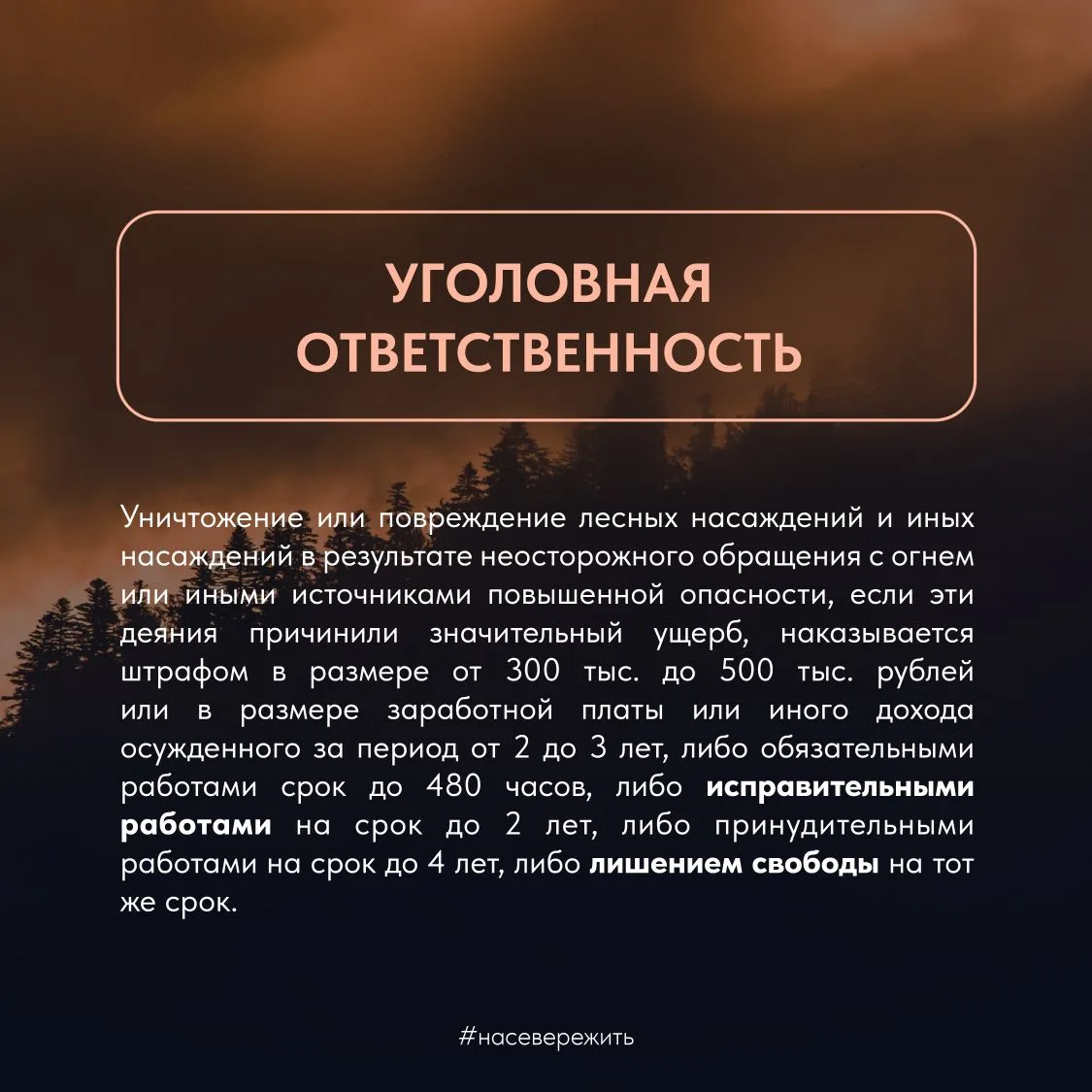 Сегодня, 15 мая, в Мурманской области введен пожароопасный режим Сегодня, 15 мая, в Мурманской области введен пожароопасный режим