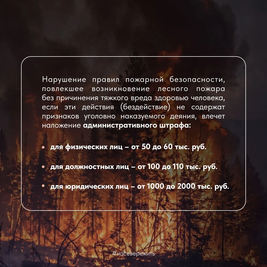 Сегодня, 15 мая, в Мурманской области введен пожароопасный режим Сегодня, 15 мая, в Мурманской области введен пожароопасный режим