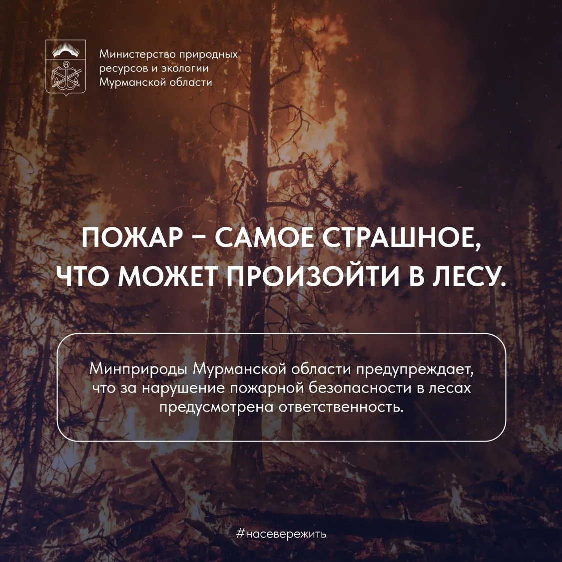 Сегодня, 15 мая, в Мурманской области введен пожароопасный режим