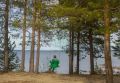 Доброе утро, Заполярье!. Теплые дни в области – отличный повод выбраться на природу, и одним из самых красивых мест для отдыха многие называют Татьянин мыс на берегу Колвицкого озера