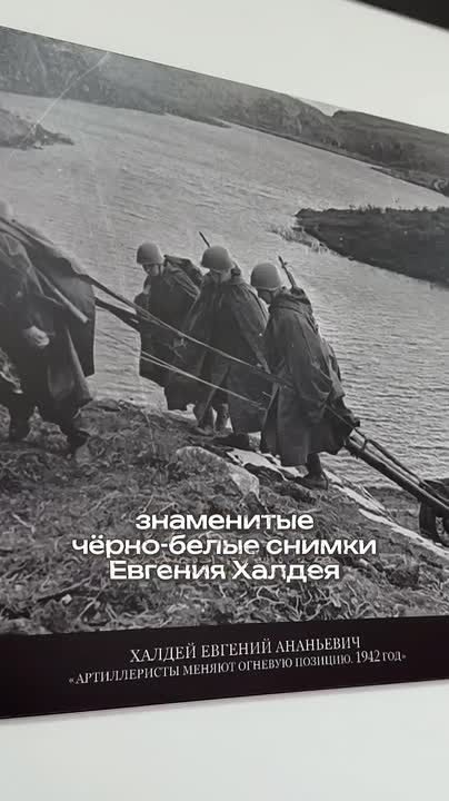 Две эпохи - один подвиг: выпуски проекта «Истории наших героев» пополнили уникальную коллекцию, посвященную СВО