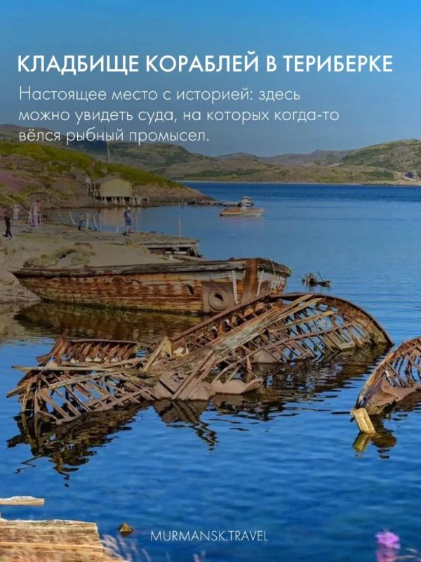 Новый рейс Петрозаводск — Мурманск Новый рейс Петрозаводск — Мурманск