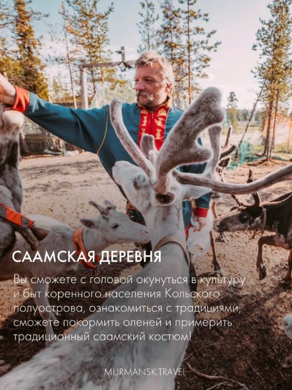 Новый рейс Петрозаводск — Мурманск Новый рейс Петрозаводск — Мурманск