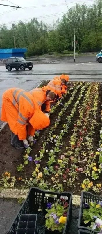 Улицы Мурманска приводят в порядок в преддверии Дня России Улицы Мурманска приводят в порядок в преддверии Дня России