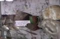 Как мурманские поисковики возвращают имена героям войны