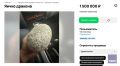 "Яйцо дракона" с пляжа Териберки продают в Мурманске за 1,5 млн рублей