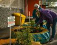 Жителей Мурманска приглашают принять участие в конкурсе «Мой зелёный город – мой уютный дом»
