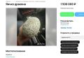 «Яйцо дракона» из Териберки продают в Мурманске