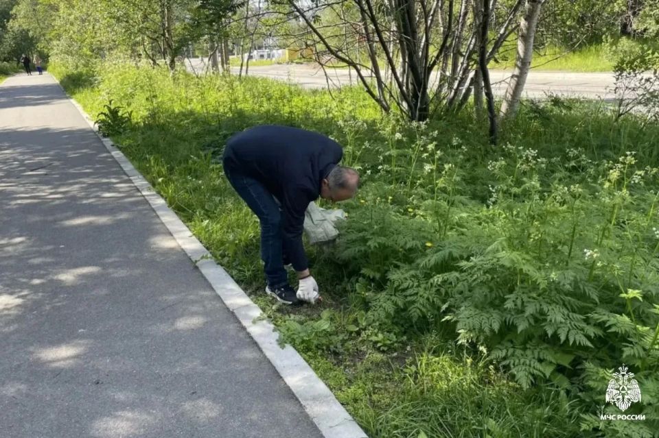 Даже вышло солнце!. Последний день перед выходными для сотрудников Главного управления МЧС России по Мурманской области прошел активно и с пользой Даже вышло солнце!. Последний день перед выходными для сотрудников Главного управления МЧС России по Мурманской области прошел активно и с пользой