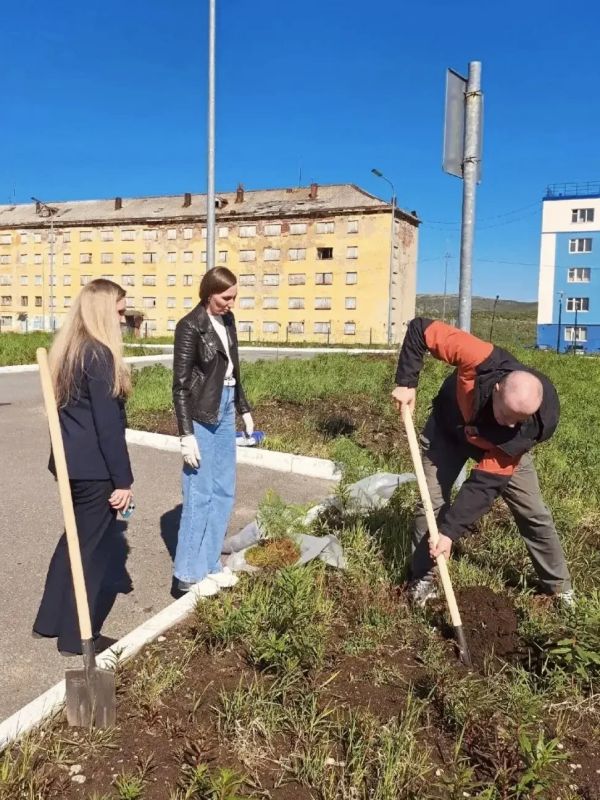 Сотрудники Заозерского теризбиркома высадили кедры, продолжив легенду солдат Западной Лицы Сотрудники Заозерского теризбиркома высадили кедры, продолжив легенду солдат Западной Лицы