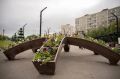 Яркие петунии и бархатцы украсили общественные пространства Мурманска