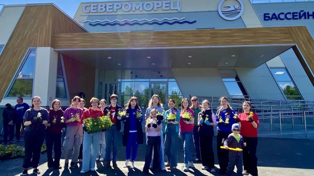 Североморск украсили яркие цветы и декоративные кустарники Североморск украсили яркие цветы и декоративные кустарники