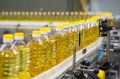 Выбор оливкового масла: что говорит Роскачество о лучших брендах