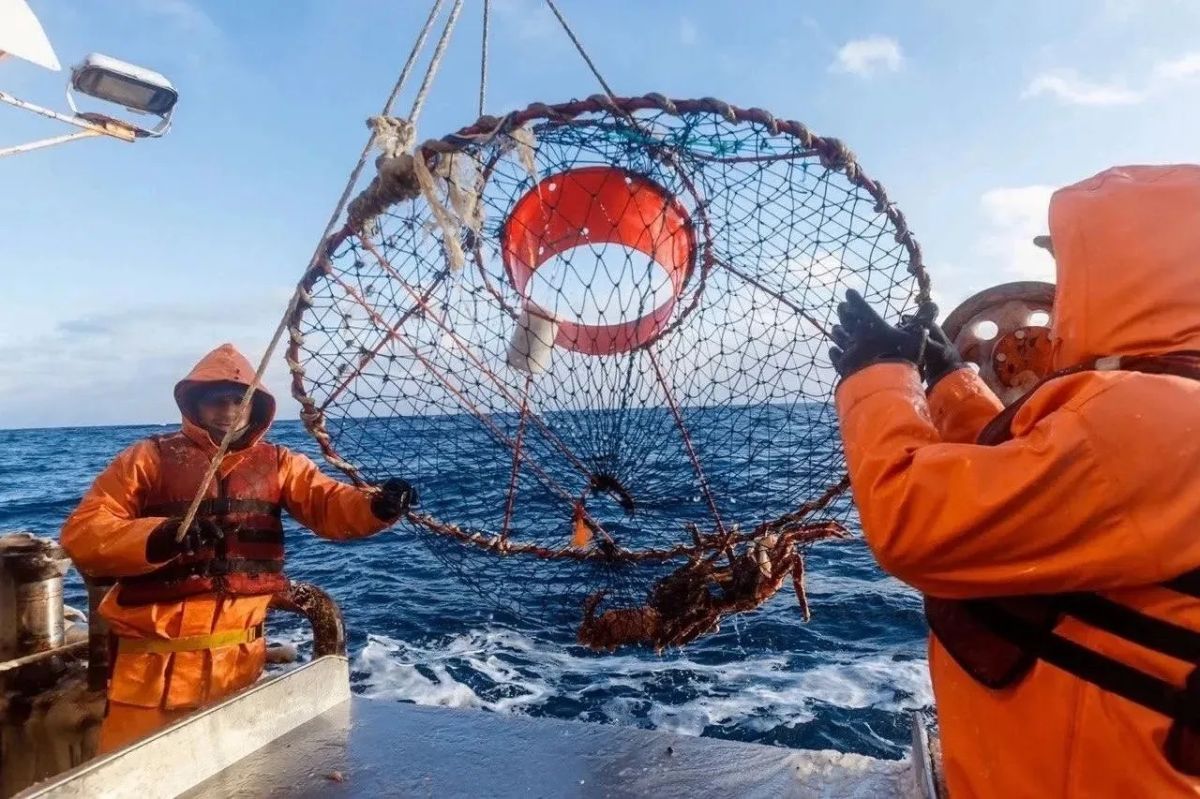 В Мурманской области стартовала приемная кампания по программам среднего профессионального образования В Мурманской области стартовала приемная кампания по программам среднего профессионального образования