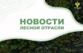 360.ru: В Московской области представили новую систему управления лесами