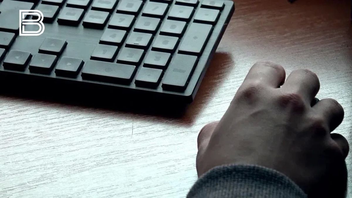 Как мошенники обманывают выпускников и их родителей — рассказали жителям Мурманской области