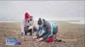 Им не нужны теплые моря. Арктический плавучий университет продолжает работу