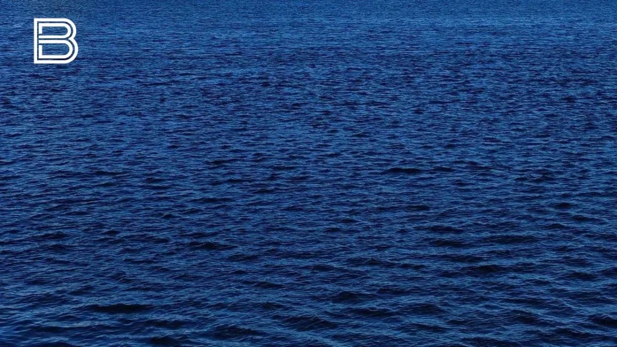 В Баренцевом море ограничили выход маломерных судов 6 июля