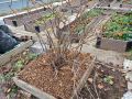 ���������� ��������� � ����: ������� �������� �����������