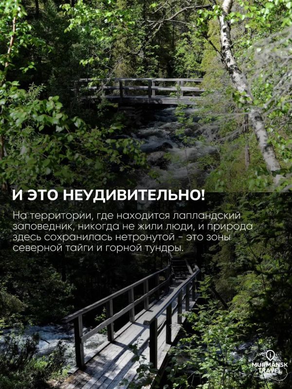 Лапландский лес в десятке самых живописных лесов России Лапландский лес в десятке самых живописных лесов России