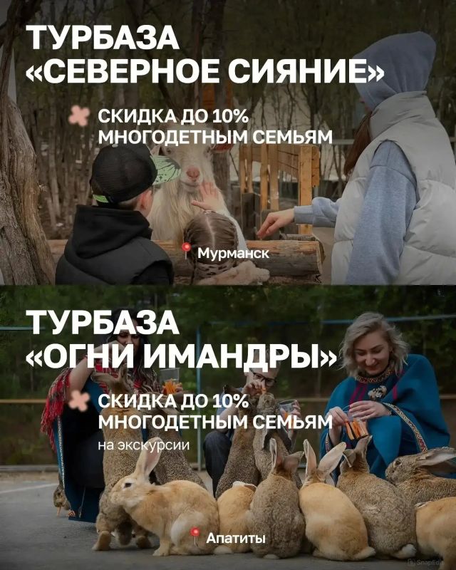 8 июля в России отмечается День семьи, любви и верности 8 июля в России отмечается День семьи, любви и верности