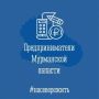 У бизнес-сообщества Мурманской области появился свой чат в МАХ