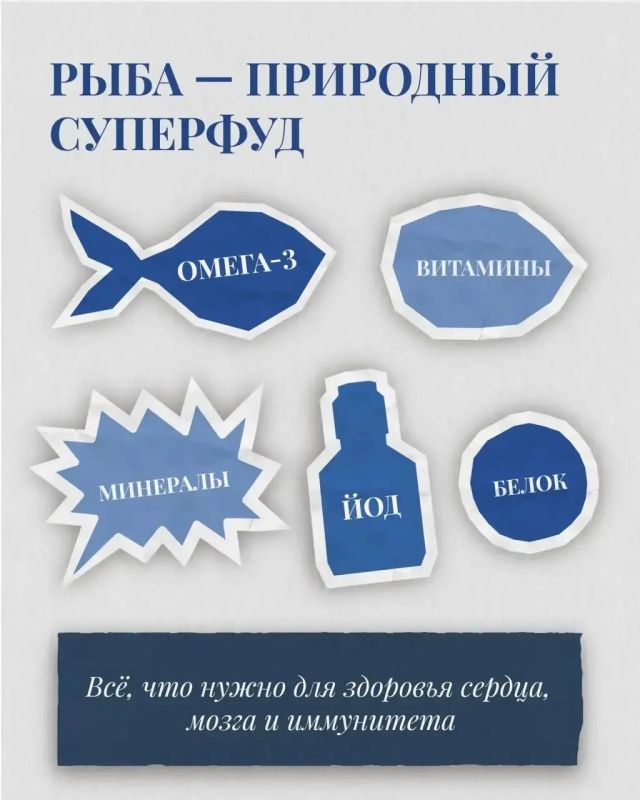 Рыбаки и рыбки: интересные факты от Ассоциации судовладельцев рыбопромыслового флота (АСРФ) Рыбаки и рыбки: интересные факты от Ассоциации судовладельцев рыбопромыслового флота (АСРФ)