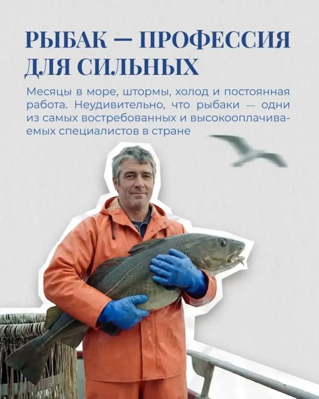 Рыбаки и рыбки: интересные факты от Ассоциации судовладельцев рыбопромыслового флота (АСРФ) Рыбаки и рыбки: интересные факты от Ассоциации судовладельцев рыбопромыслового флота (АСРФ)