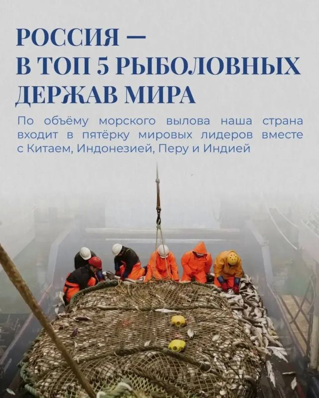 Рыбаки и рыбки: интересные факты от Ассоциации судовладельцев рыбопромыслового флота (АСРФ) Рыбаки и рыбки: интересные факты от Ассоциации судовладельцев рыбопромыслового флота (АСРФ)