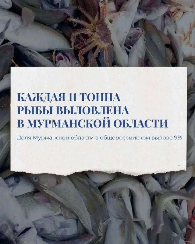 Рыбаки и рыбки: интересные факты от Ассоциации судовладельцев рыбопромыслового флота (АСРФ) Рыбаки и рыбки: интересные факты от Ассоциации судовладельцев рыбопромыслового флота (АСРФ)