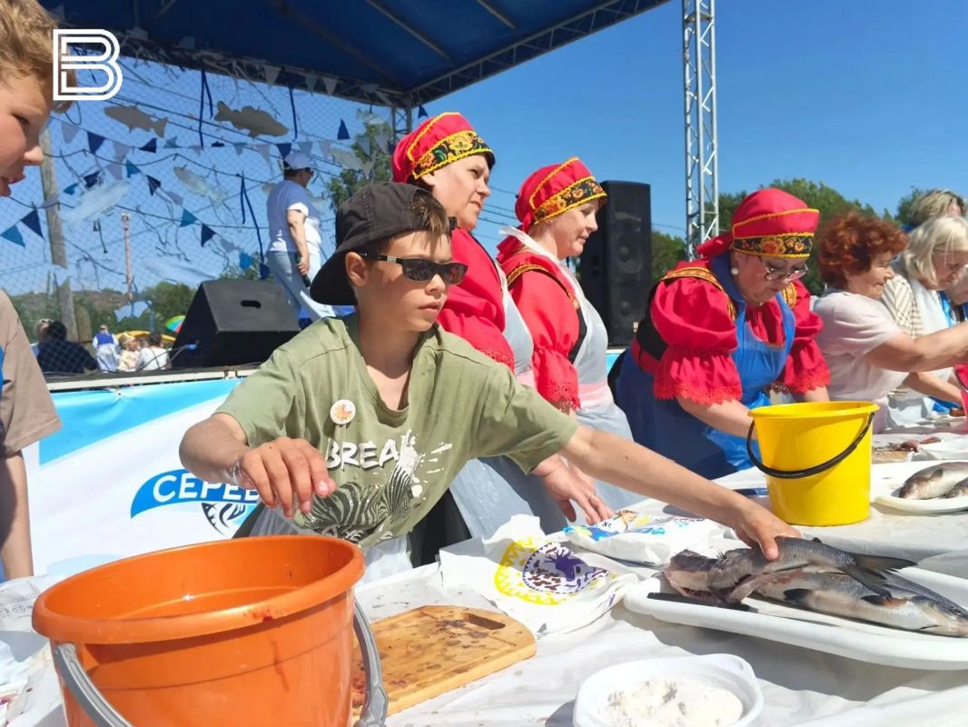 Гребная регата и чистка рыбы на скорость: поморский фестиваль "Серебро" проходит в Умбе Гребная регата и чистка рыбы на скорость: поморский фестиваль "Серебро" проходит в Умбе