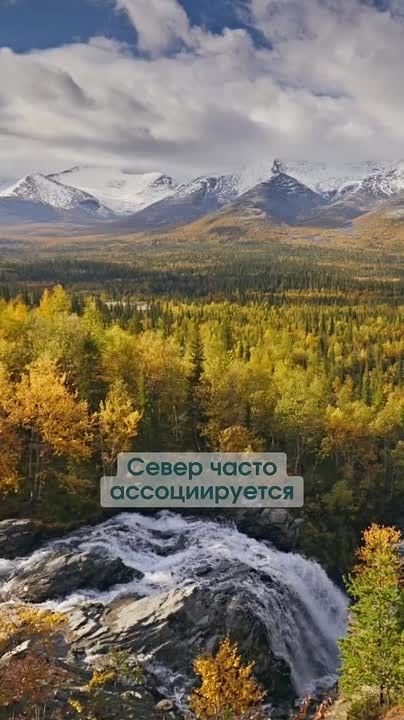 Пожар - самое страшное, что может случиться в лесу