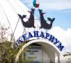 Работникам Мурманского океанариума выплатили долги по зарплате после помощи Яны Лантратовой