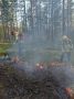 Крупный лесной пожар потушили в Заполярье