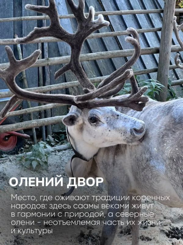 Прямой рейс Петрозаводск - Мурманск: путешествие стало ещё ближе Прямой рейс Петрозаводск - Мурманск: путешествие стало ещё ближе
