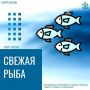 Сегодня, 5 декабря, стартует реализация камбалы по привлекательной цене