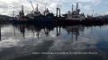 Сотрудники вневедомственной охраны Росгвардии проверили грунт Кольского залива во время учений