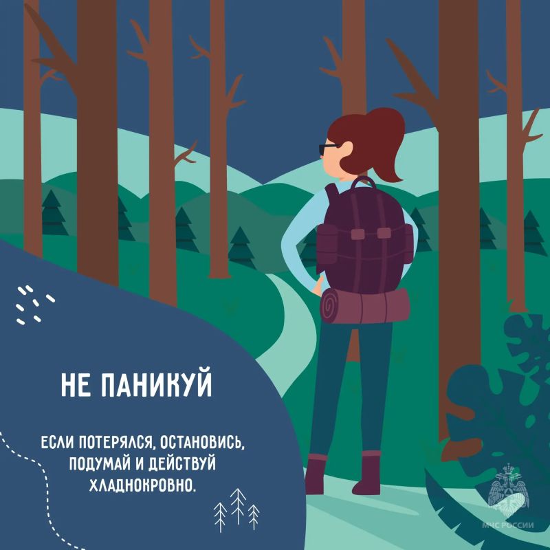 В лес - безопасно. Лето в Заполярье - идеальное время для походов, сбора ягод и грибов, но лес коварен, заблудиться в нём легко В лес - безопасно. Лето в Заполярье - идеальное время для походов, сбора ягод и грибов, но лес коварен, заблудиться в нём легко