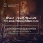 Стать причиной лесного пожара легко, потушить пламя – очень трудно