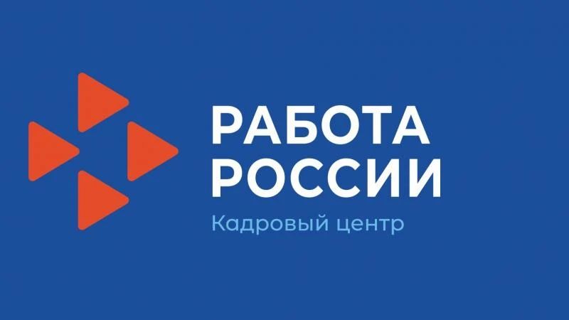 Каждый второй нашёл работу: кадровый центр Мурманской области раскрыл статистику трудоустройства