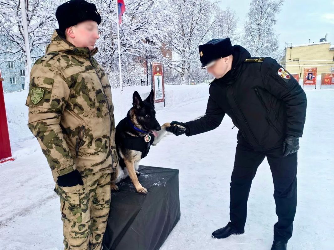 37-ю годовщину со дня формирования отмечает сегодня морской отряд Северо-Западного округа Росгвардии 37-ю годовщину со дня формирования отмечает сегодня морской отряд Северо-Западного округа Росгвардии