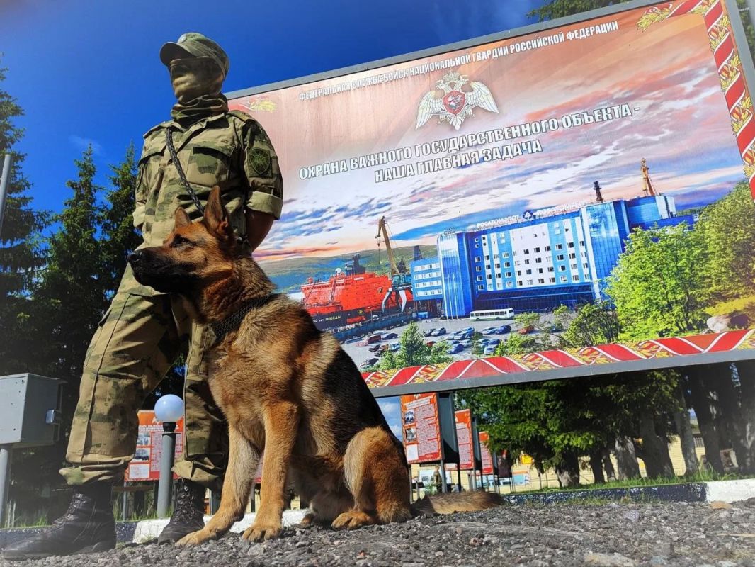 37-ю годовщину со дня формирования отмечает сегодня морской отряд Северо-Западного округа Росгвардии 37-ю годовщину со дня формирования отмечает сегодня морской отряд Северо-Западного округа Росгвардии