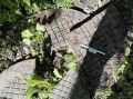 В Апатитах возбуждено уголовное дело по факту травмирования малолетнего