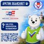 Сегодня Арктик объясняет: как стать волонтером на выборах