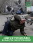 В Мурманске разгорелся спор из-за кормления голубей
