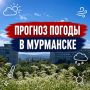 С добрым утром!.
.
Сегодня, 17 августа, ветер - до 7 м/с
Температура воздуха - от +13 до +17 градусов