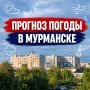 � ������ �����!..�������, 20 �������, ����� - �� 9 �/�