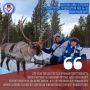 В рубрике #голос_избирком51 Дина Мальцева, заместитель председателя УИК № 403 Ловозерского округа делится впечатлениями о работе в избирательной системе