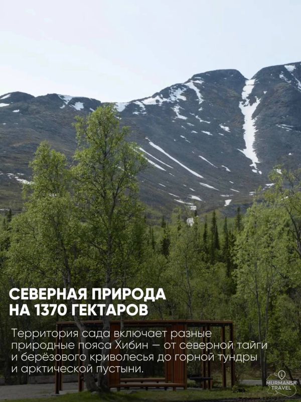 Самым северным тропикам – 95 лет! Самым северным тропикам – 95 лет!